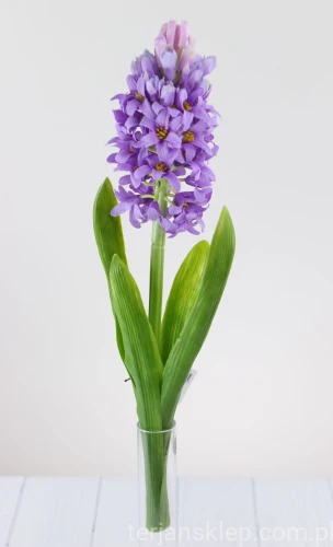 00007858.JPG
