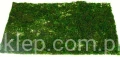 490e805efe204ac52c804a8bc3022f54fea09137