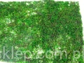 dc54aeea73e14910fa5a88f6451d4b80ad264f72