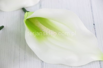 Calla wyrobowa CT52 (24 szt) white green #3