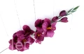 00008179.JPG
