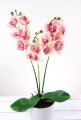 00008407.JPG