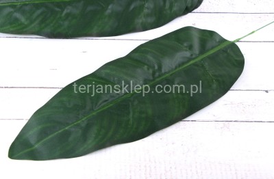 Liść bananowca duży CL108 / AB010 (12 szt) zielony