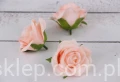 00008661.JPG
