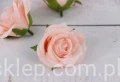 00008662.JPG