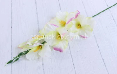 Mieczyk satynowy wyrobowy L004 cream pink green "jabłuszko" W18-87