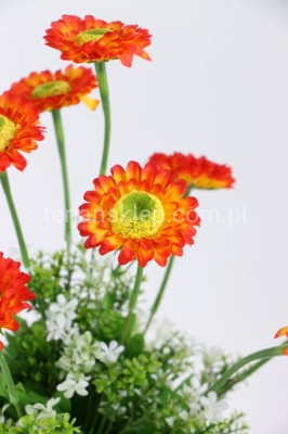 Bukiet rumianków z dodatkami YR012 orange yellow