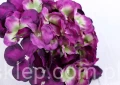 00009402.JPG