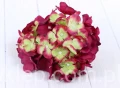 00009411.JPG