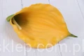 00009450.JPG