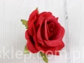 00009785.JPG