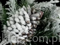 f1ac1acb276c309f9bfeeb6b65a58d13ca282ba4