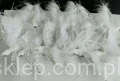 0837e731465b875bdda7f4f599be98809f8eb2cc