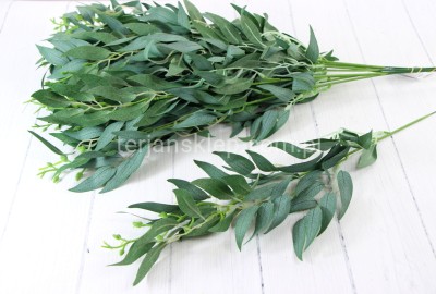 Gałąź Ruskus LIU388 (12 szt) powder green