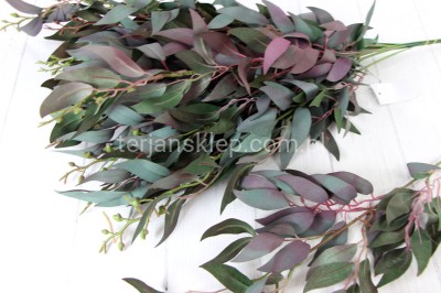 Gałąź Ruskus LIU388 (12 szt ) powder green/violet