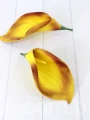 00011047.JPG