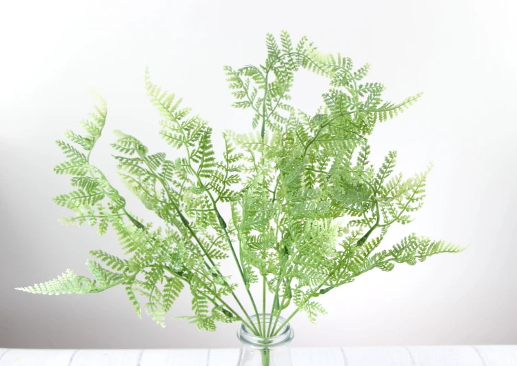 00010978.JPG