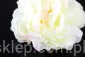 00011676.JPG
