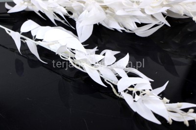 Gałąź Ruskus LIU388 (12 szt) white