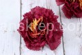 00012186.JPG