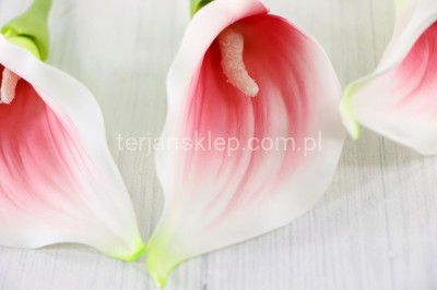 Calla wyrobowa CT56 mniejsza (24 szt) white pink