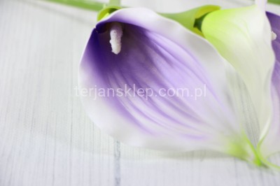 Calla wyrobowa CT56 mniejsza (24 szt) white lilac