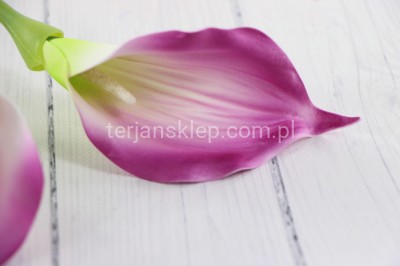 Calla wyrobowa CT56 mniejsza (24 szt) beauty