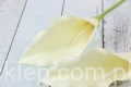 00012355.JPG