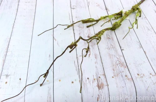 00012368.JPG