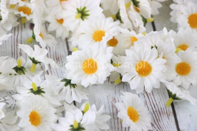 Rumianki mini CS391 / CS392 (500 szt) white