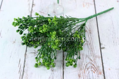 Żarnowiec w bukiecie CE667 green