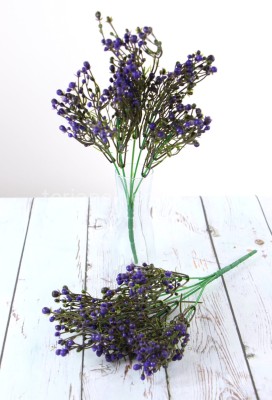 Żarnowiec w bukiecie CE667 violet