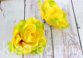 00012973.JPG