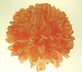 IMG_2829.jpg