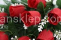 IMG_8119.JPG