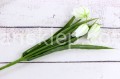 IMG_8363.JPG