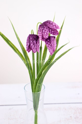 IMG_8373.JPG