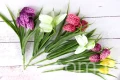 IMG_8359.JPG