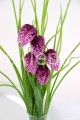 IMG_8384.JPG