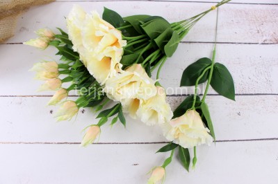 Eustoma SUN357 (12 szt) pearl peach #2285 (lemon)