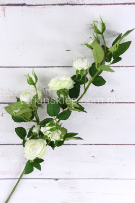 Gałąź dzikiej róży SUN663 cream #1583