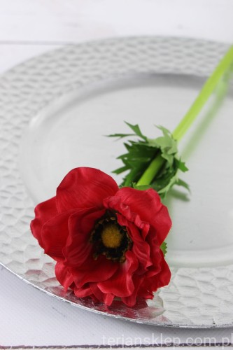 IMG_8637.JPG