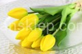 IMG_8867.JPG