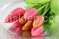 IMG_8870.JPG