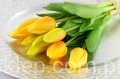 IMG_8872.JPG