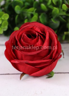 Camelia wyrobowa / pełnik SUN564 (12 szt) rubin #1746