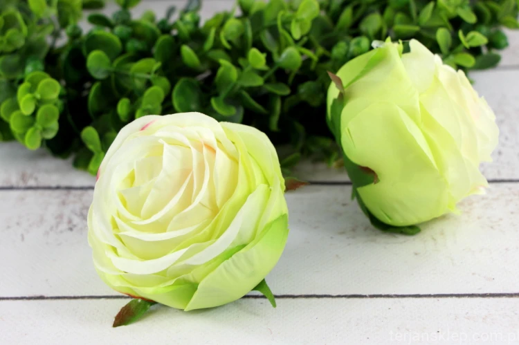 IMG_8846.JPG