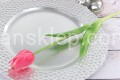 IMG_8973.JPG