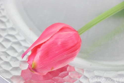 IMG_8974.JPG