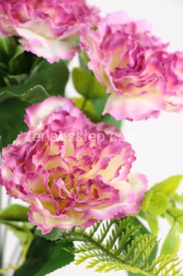 Bukiet goździków F117 (lemon edge beauty)